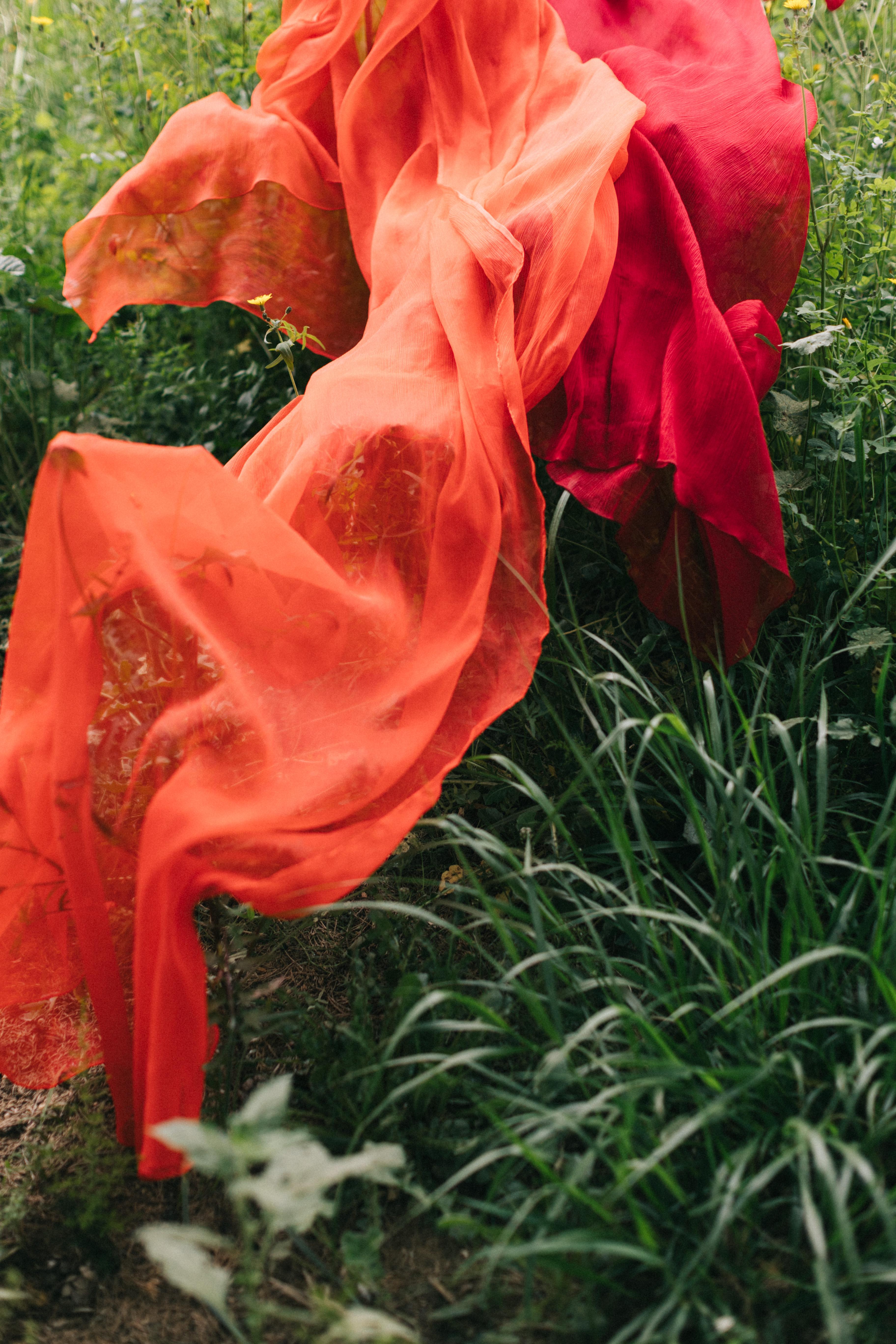 ORANGE SILK SHAWL